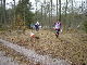 Skogen 2